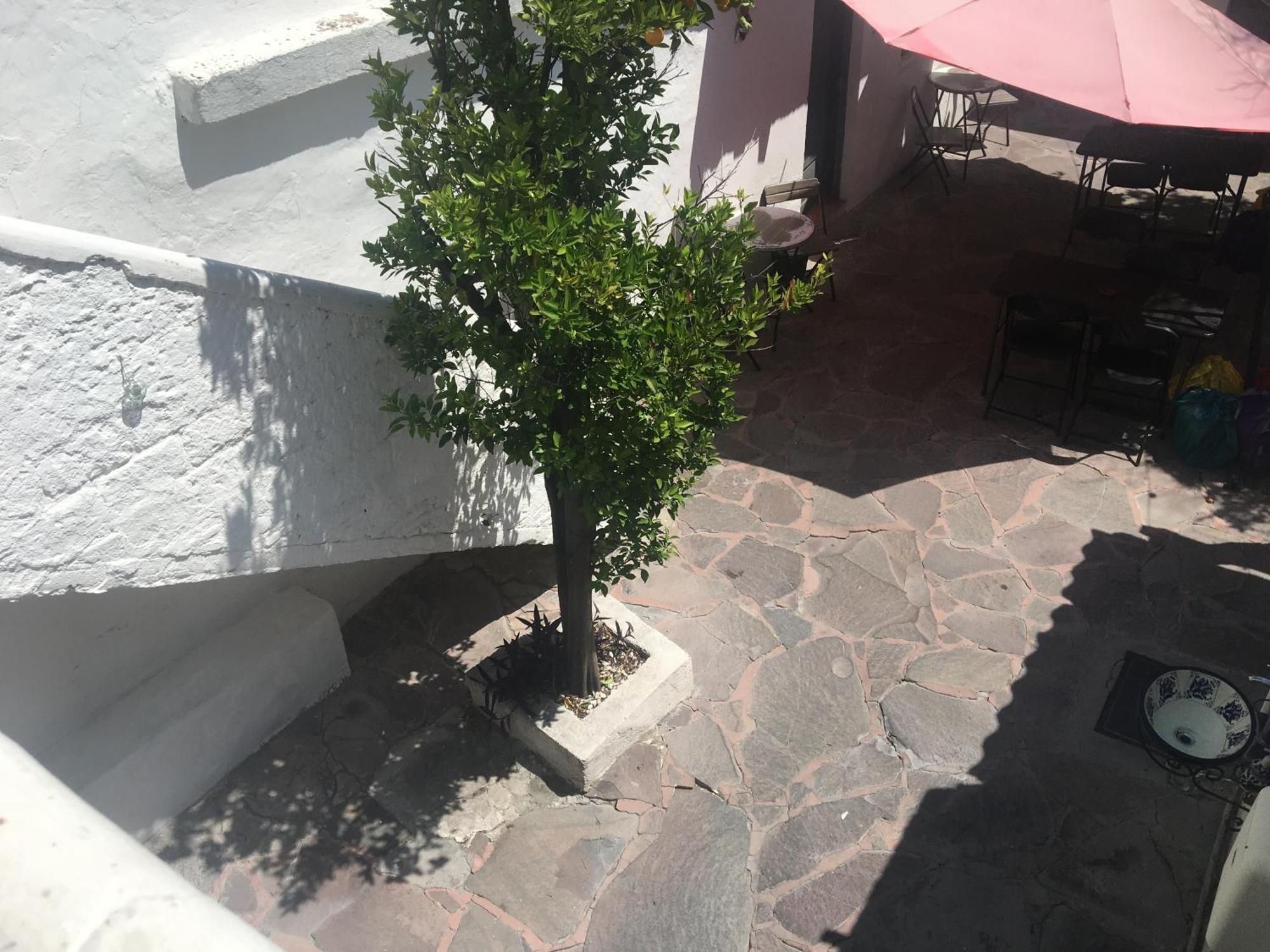 Patio Alojamiento San Miguel de Allende Exterior foto